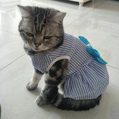 Striped Cat Bow Skirt Cute Pet Dress for Cats - PeticaDeals