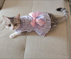 Striped Cat Bow Skirt Cute Pet Dress for Cats - PeticaDeals