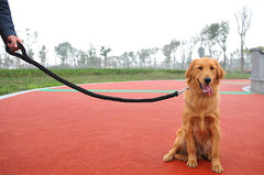Sturdy Nylon Big Dog Leash for Medium to Large Dogs Strong Pet Round Rope - PeticaDeals