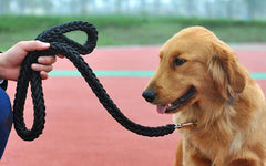 Sturdy Nylon Big Dog Leash for Medium to Large Dogs Strong Pet Round Rope - PeticaDeals