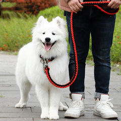 Sturdy Nylon Big Dog Leash for Medium to Large Dogs Strong Pet Round Rope - PeticaDeals