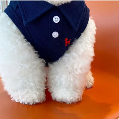 Summer Cool Cat & Dog Shirt - PeticaDeals