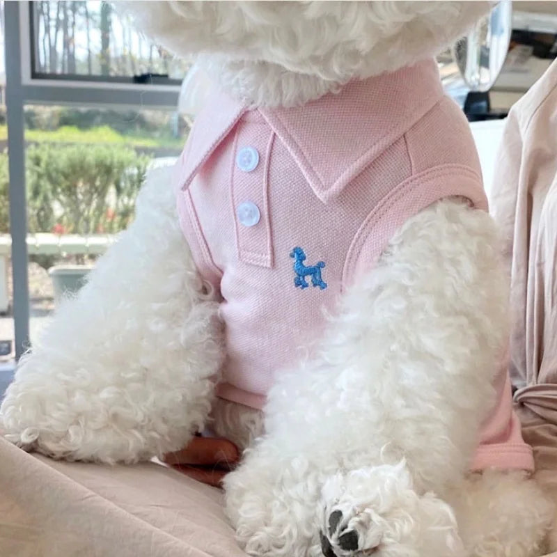 Summer Cool Cat & Dog Shirt - PeticaDeals