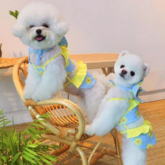 Summer Cute Puppy Dog Swimming Suit Hat Set for Small Dogs - PeticaDeals