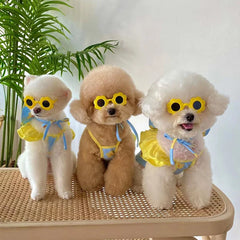 Summer Cute Puppy Dog Swimming Suit Hat Set for Small Dogs - PeticaDeals