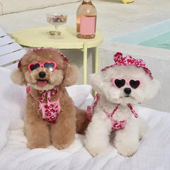 Summer Cute Puppy Dog Swimming Suit Hat Set for Small Dogs - PeticaDeals
