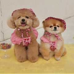 Summer Cute Puppy Dog Swimming Suit Hat Set for Small Dogs - PeticaDeals