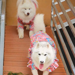 Summer Flower Cute Cat and Dog Clothes - PeticaDeals