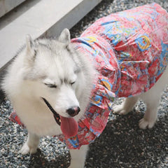 Summer Flower Cute Cat and Dog Clothes - PeticaDeals