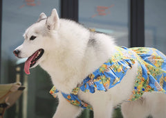 Summer Flower Cute Cat and Dog Clothes - PeticaDeals