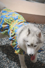 Summer Flower Cute Cat and Dog Clothes - PeticaDeals
