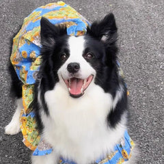 Summer Flower Cute Cat and Dog Clothes - PeticaDeals