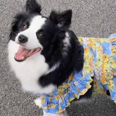 Summer Flower Cute Cat and Dog Clothes - PeticaDeals