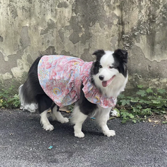 Summer Flower Cute Cat and Dog Clothes - PeticaDeals