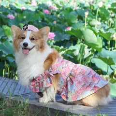 Summer Flower Cute Cat and Dog Clothes - PeticaDeals