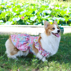 Summer Flower Cute Cat and Dog Clothes - PeticaDeals