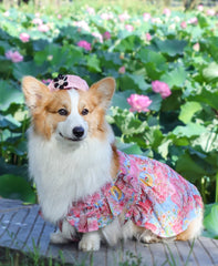 Summer Flower Cute Cat and Dog Clothes - PeticaDeals