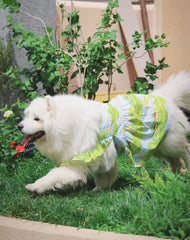 Summer Flower Cute Cat and Dog Clothes - PeticaDeals