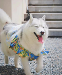 Summer Flower Cute Cat and Dog Clothes - PeticaDeals