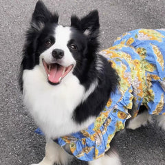 Summer Flower Cute Cat and Dog Clothes - PeticaDeals