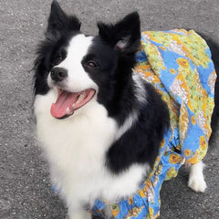 Summer Flower Cute Cat and Dog Clothes - PeticaDeals