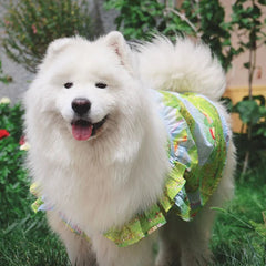 Summer Flower Cute Cat and Dog Clothes - PeticaDeals