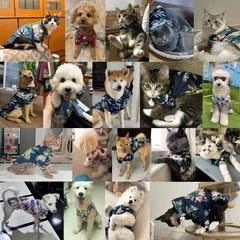 Summer Pevvt Floral Beach Printed Clothes For Dogs & Cats - PeticaDeals