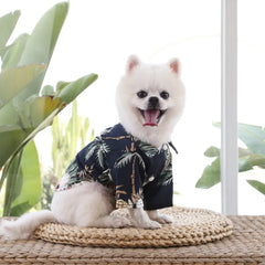 Summer Pevvt Floral Beach Printed Clothes For Dogs & Cats - PeticaDeals