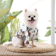 Summer Pevvt Floral Beach Printed Clothes For Dogs & Cats - PeticaDeals