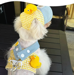 Summer_Thin_Chest_and_Back_Traction_Rope_Set_-_PeticaDeals