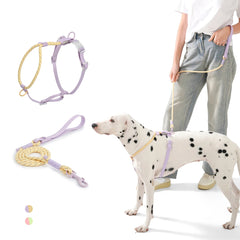 Summer cooling Pet Harness Leash Set For medium & Large dogs No Pull Nylon Adjustable - PeticaDeals