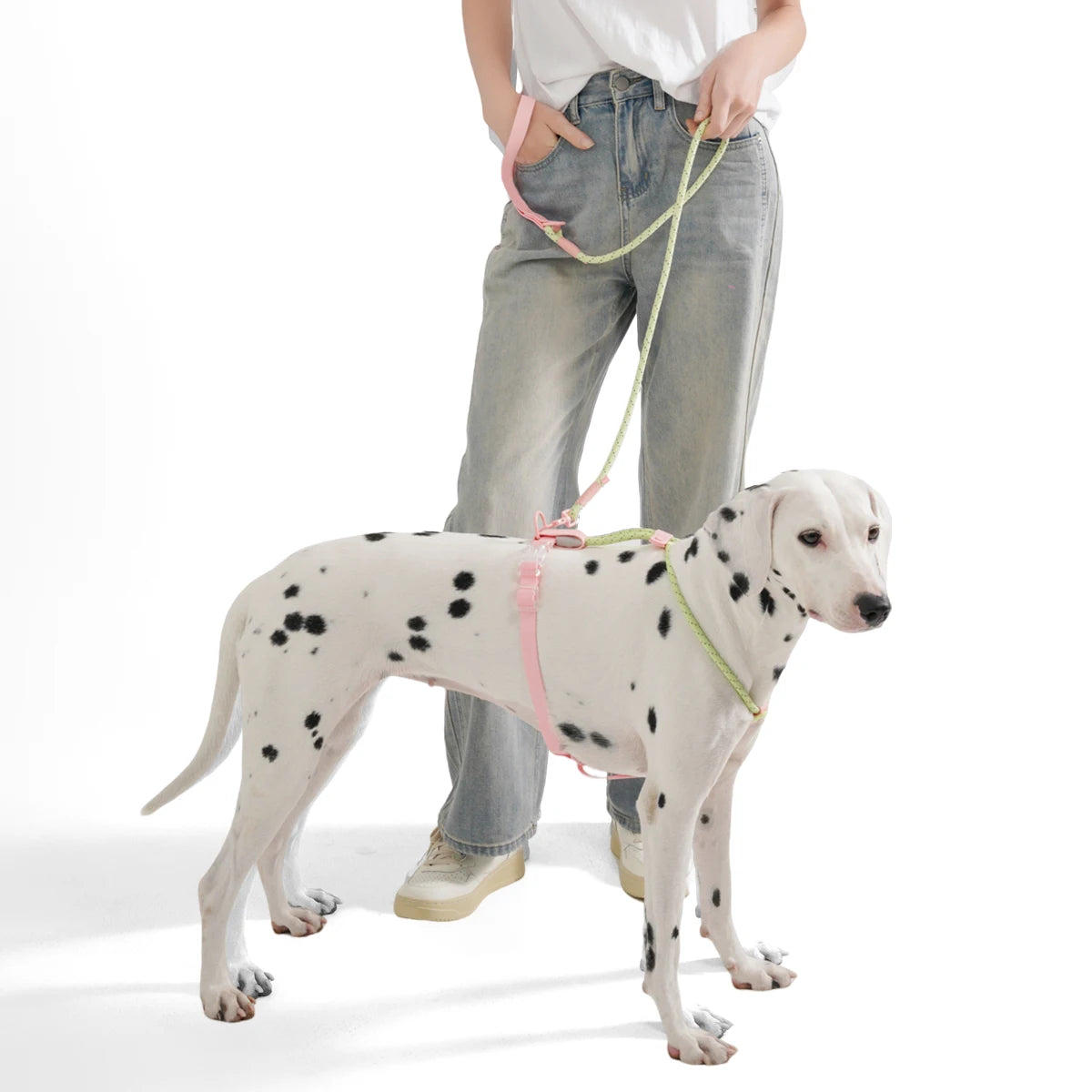 Summer cooling Pet Harness Leash Set For medium & Large dogs No Pull Nylon Adjustable - PeticaDeals