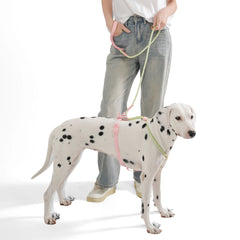Summer cooling Pet Harness Leash Set For medium & Large dogs No Pull Nylon Adjustable - PeticaDeals
