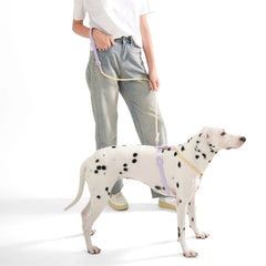 Summer cooling Pet Harness Leash Set For medium & Large dogs No Pull Nylon Adjustable - PeticaDeals