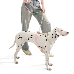 Summer cooling Pet Harness Leash Set For medium & Large dogs No Pull Nylon Adjustable - PeticaDeals