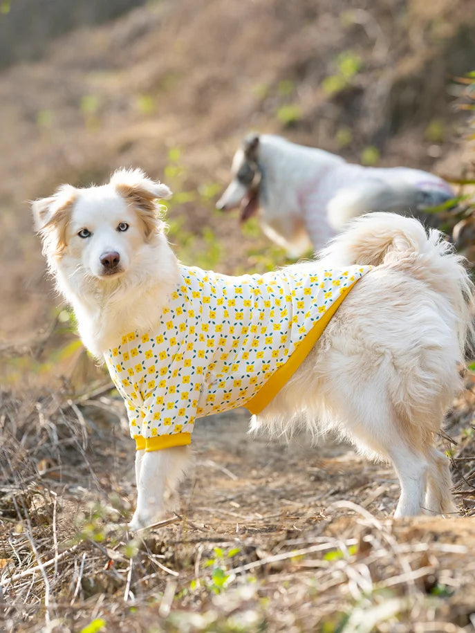 Thin Breathable Cotton Pet Pullover Clothes - PeticaDeals