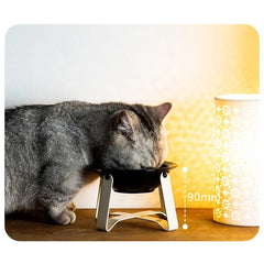 Tilted Ceramic Pet Bowl with Metal Stand – Elevated Design Non-Slip Easy to Clean - PeticaDeals