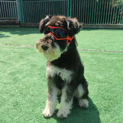 UV Protective Goggles for Dogs Cat - PeticaDeals