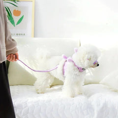 Vest Pet Dog Harness Leash Set - PeticaDeals