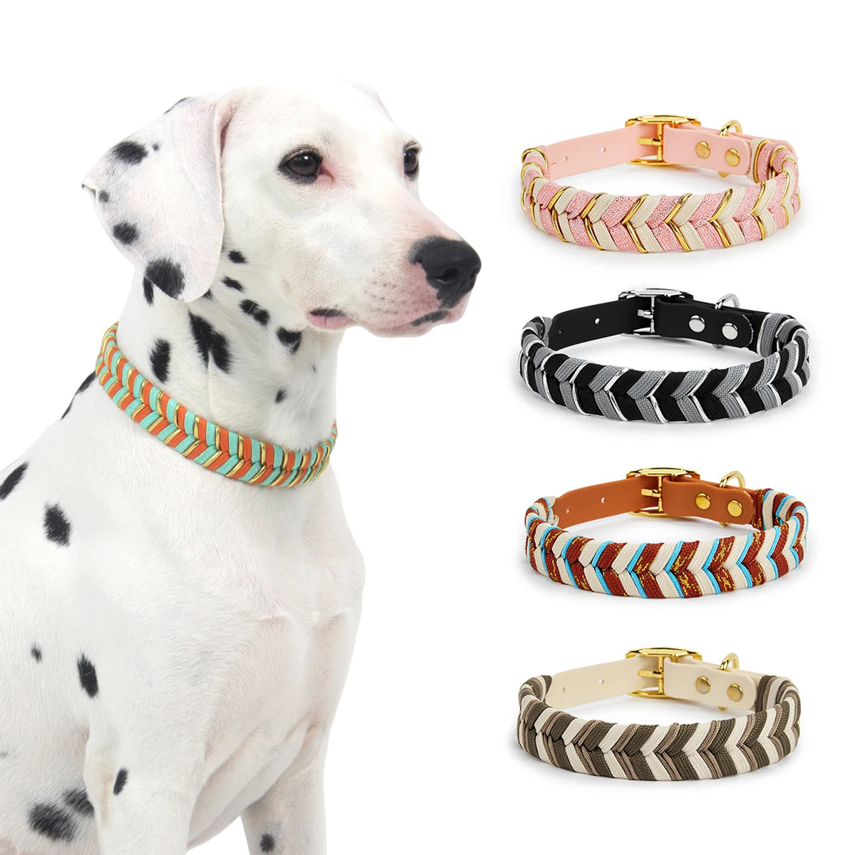Walking Pet Collar High-End Adjustable Collar - PeticaDeals