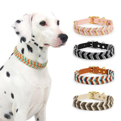 Walking Pet Collar High-End Adjustable Collar - PeticaDeals