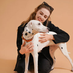 Walking Pet Collar High-End Adjustable Collar - PeticaDeals