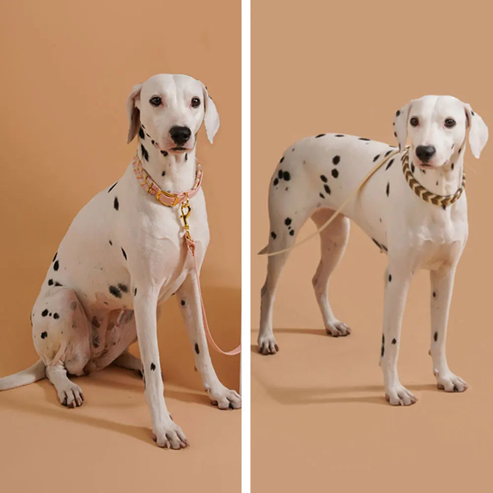 Walking Pet Collar High-End Adjustable Collar - PeticaDeals