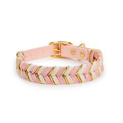 Walking Pet Collar High-End Adjustable Collar - PeticaDeals
