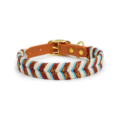 Walking Pet Collar High-End Adjustable Collar - PeticaDeals