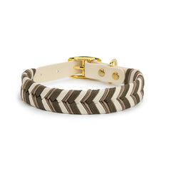 Walking Pet Collar High-End Adjustable Collar - PeticaDeals