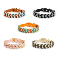 Walking Pet Collar High-End Adjustable Collar - PeticaDeals