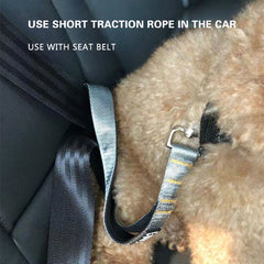 Walking Short Leash Durable Pet - peticadeals