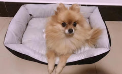 Winter Big Pet Bed Warm Fleece Pet House - PeticaDeals