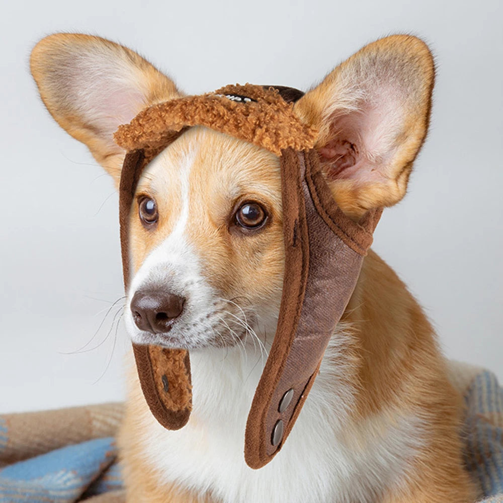 Winter Hat Warm for Small Large Dogs - PeticaDeals